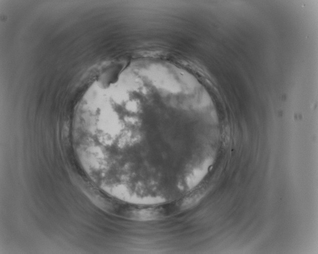 X0000082690365200702232211