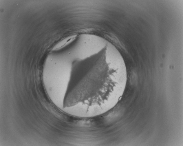 X0000082690366200702232211