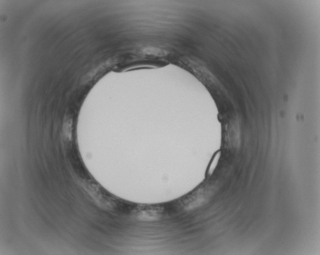 X0000082690368200702232211