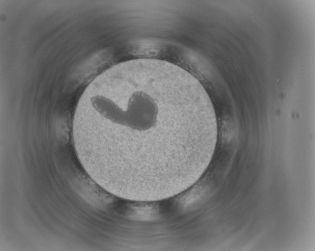 X0000082690370200702232211