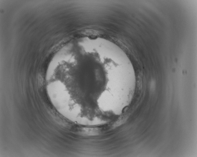 X0000082690371200702232211