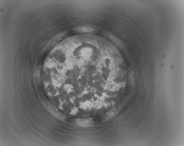 X0000082690373200702232211