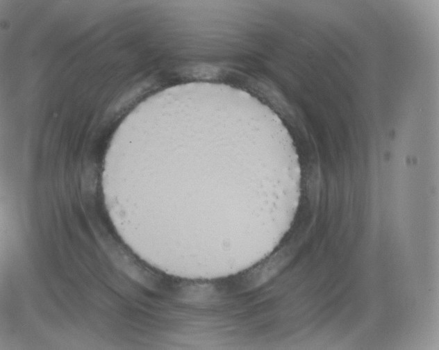 X0000082690374200702232211