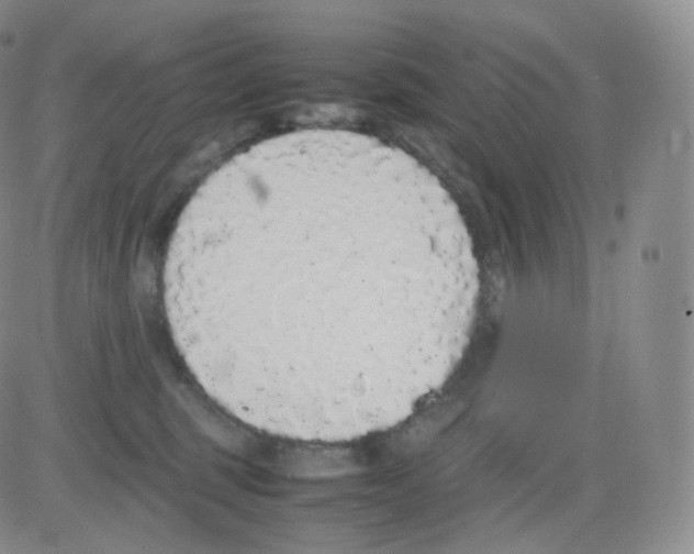 X0000082690375200702232211