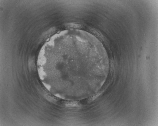 X0000082690377200702232211