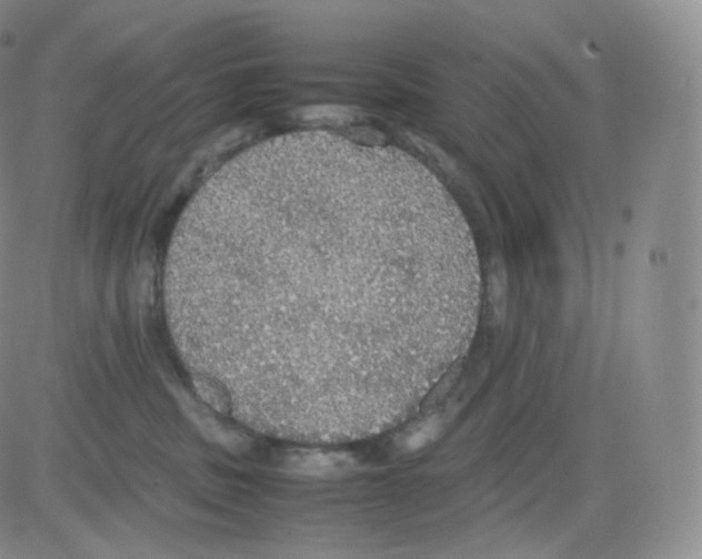 X0000082690379200702232211