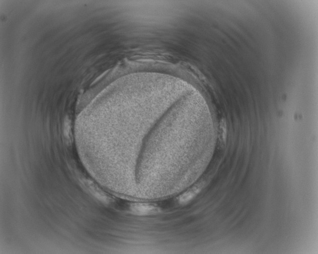 X0000082690380200702232211