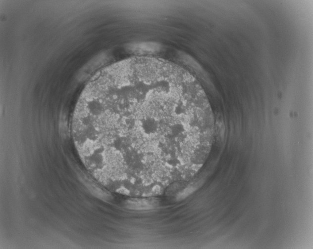 X0000082690381200702232211