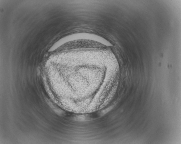 X0000082690382200702232211