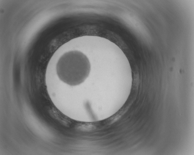 X0000082690383200702232211