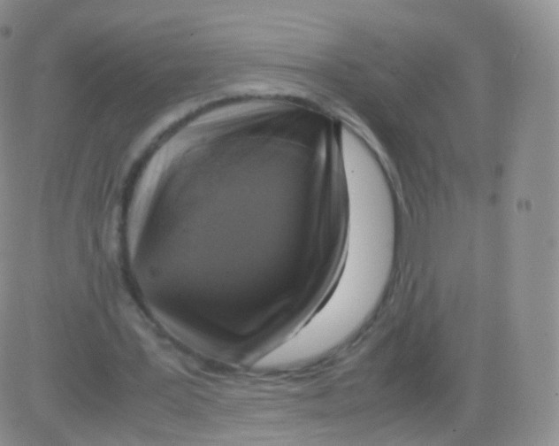 X0000082690387200702232210