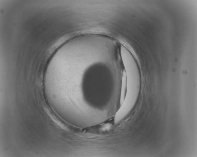 X0000082690389200702232210