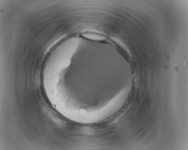 X0000082690390200702232210