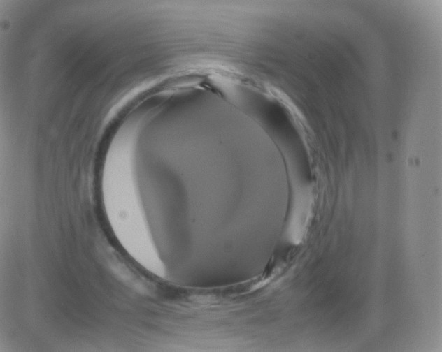 X0000082690391200702232210