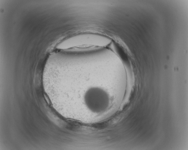 X0000082690393200702232210