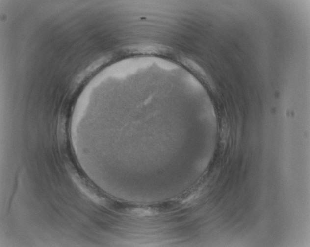 X0000082690394200702232210