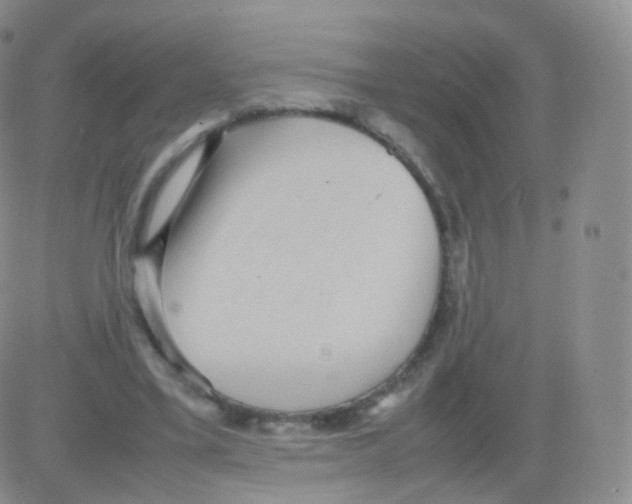 X0000082690395200702232210