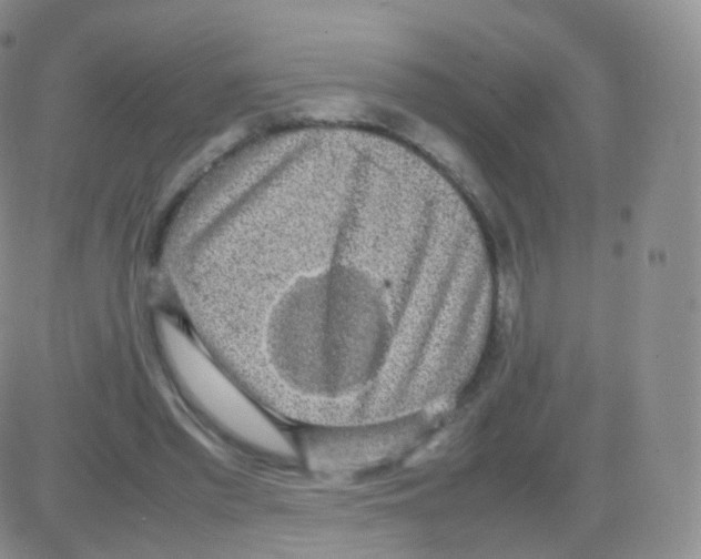 X0000082690397200702232210