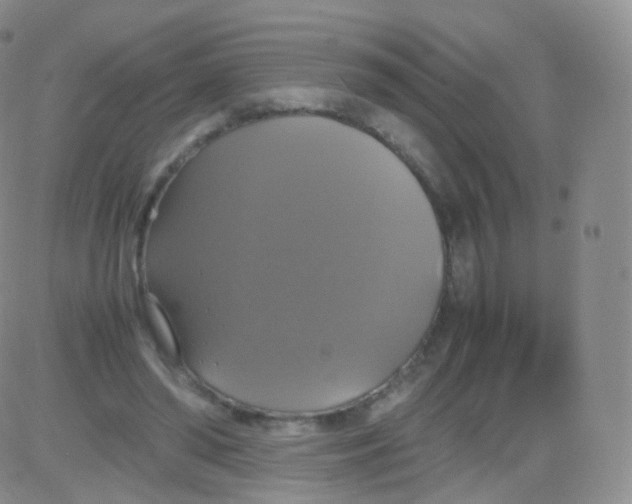 X0000082690398200702232210