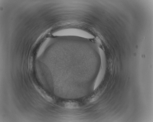 X0000082690400200702232210