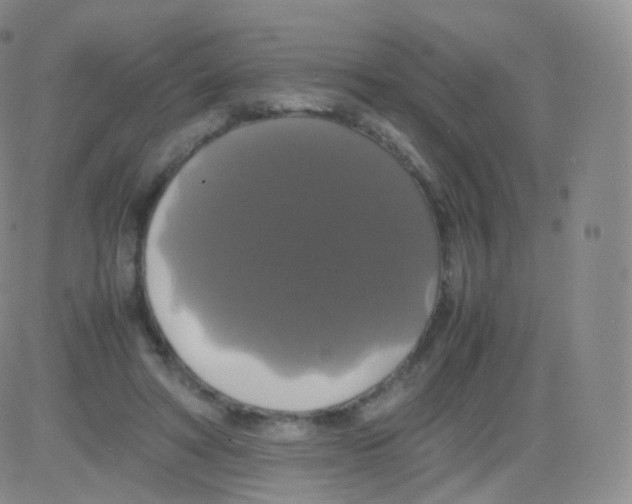 X0000082690402200702232210