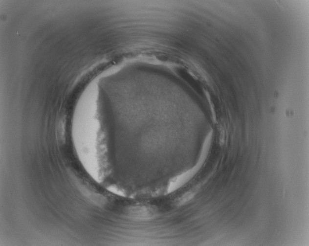 X0000082690404200702232210