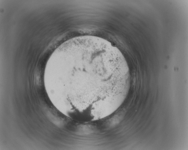 X0000082690408200702232210