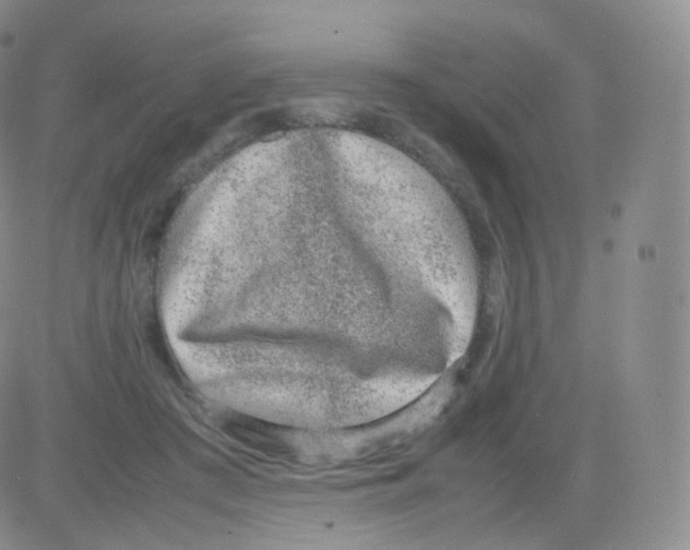 X0000082690409200702232210