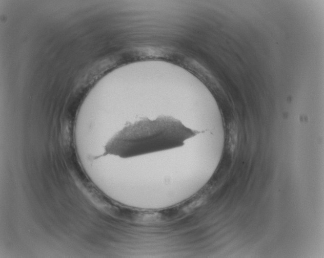 X0000082690410200702232210