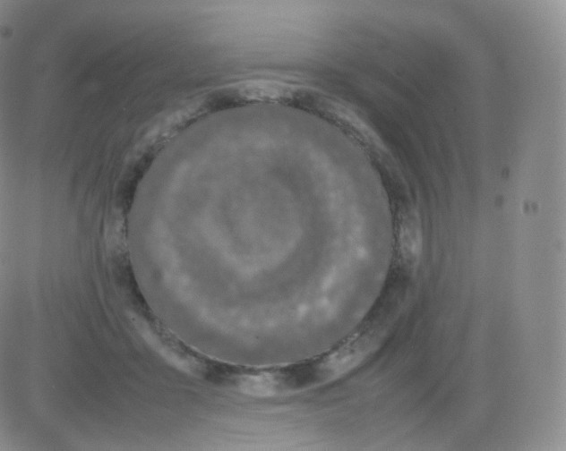 X0000082690411200702232210