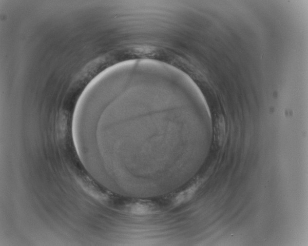 X0000082690412200702232210