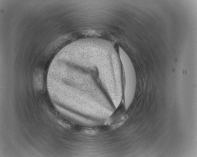 X0000082690416200702232210