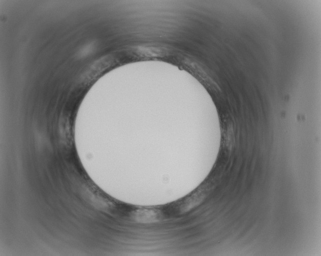 X0000082690418200702232209