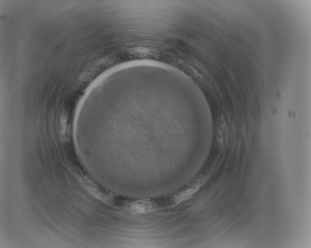 X0000082690420200702232209