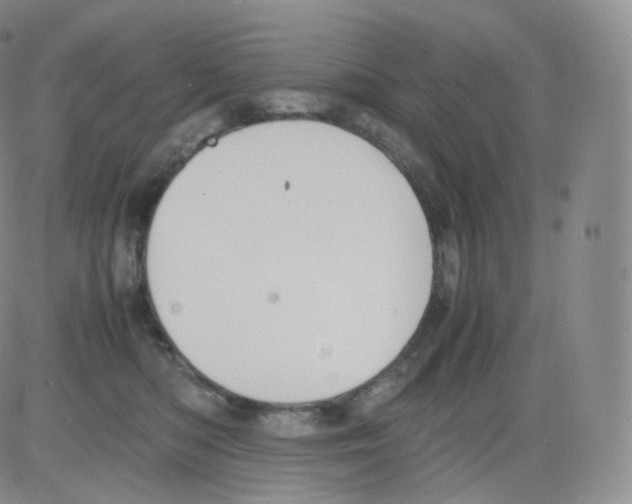 X0000082690422200702232209