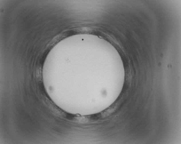 X0000082690425200702232209