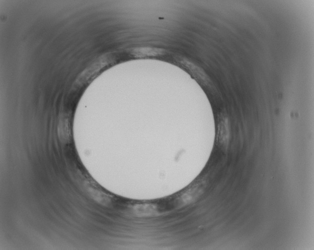 X0000082690426200702232209