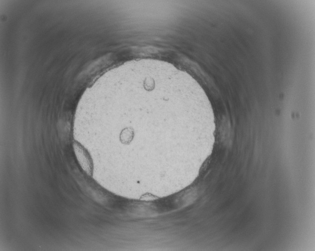 X0000082690427200702232209