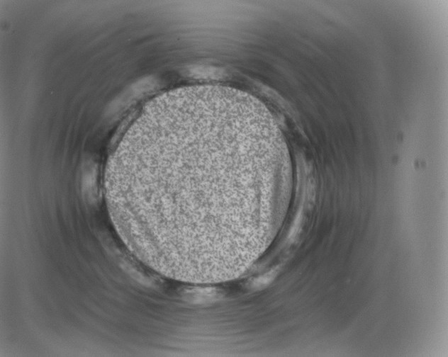 X0000082690428200702232209