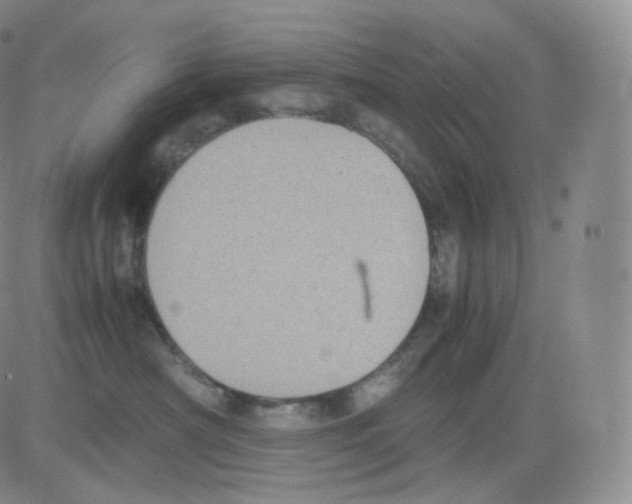 X0000082690430200702232209