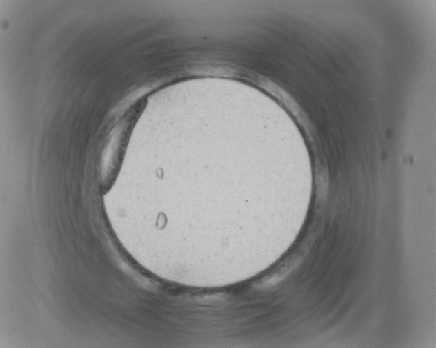 X0000082690433200702232208