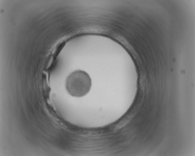 X0000082690434200702232208