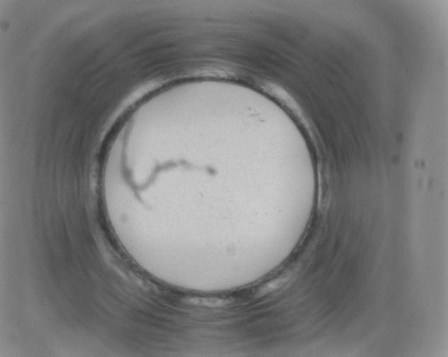 X0000082690435200702232208