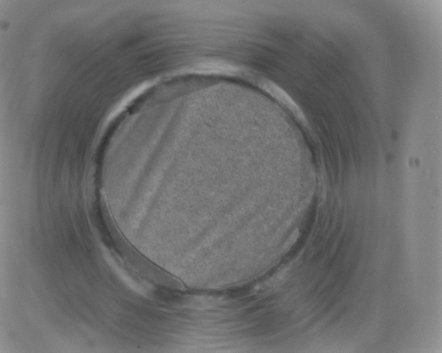 X0000082690436200702232209