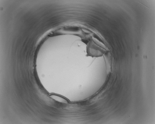 X0000082690438200702232209