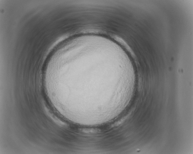 X0000082690439200702232209