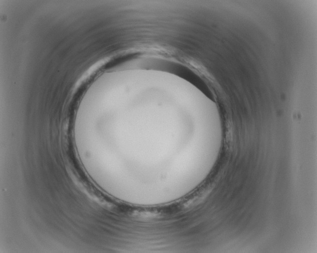 X0000082690440200702232209