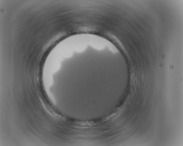 X0000082690443200702232209