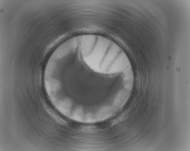 X0000082690446200702232209