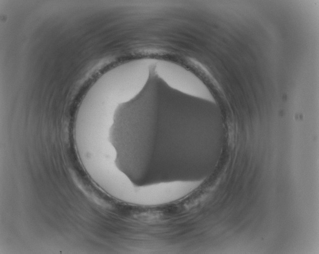 X0000082690447200702232209